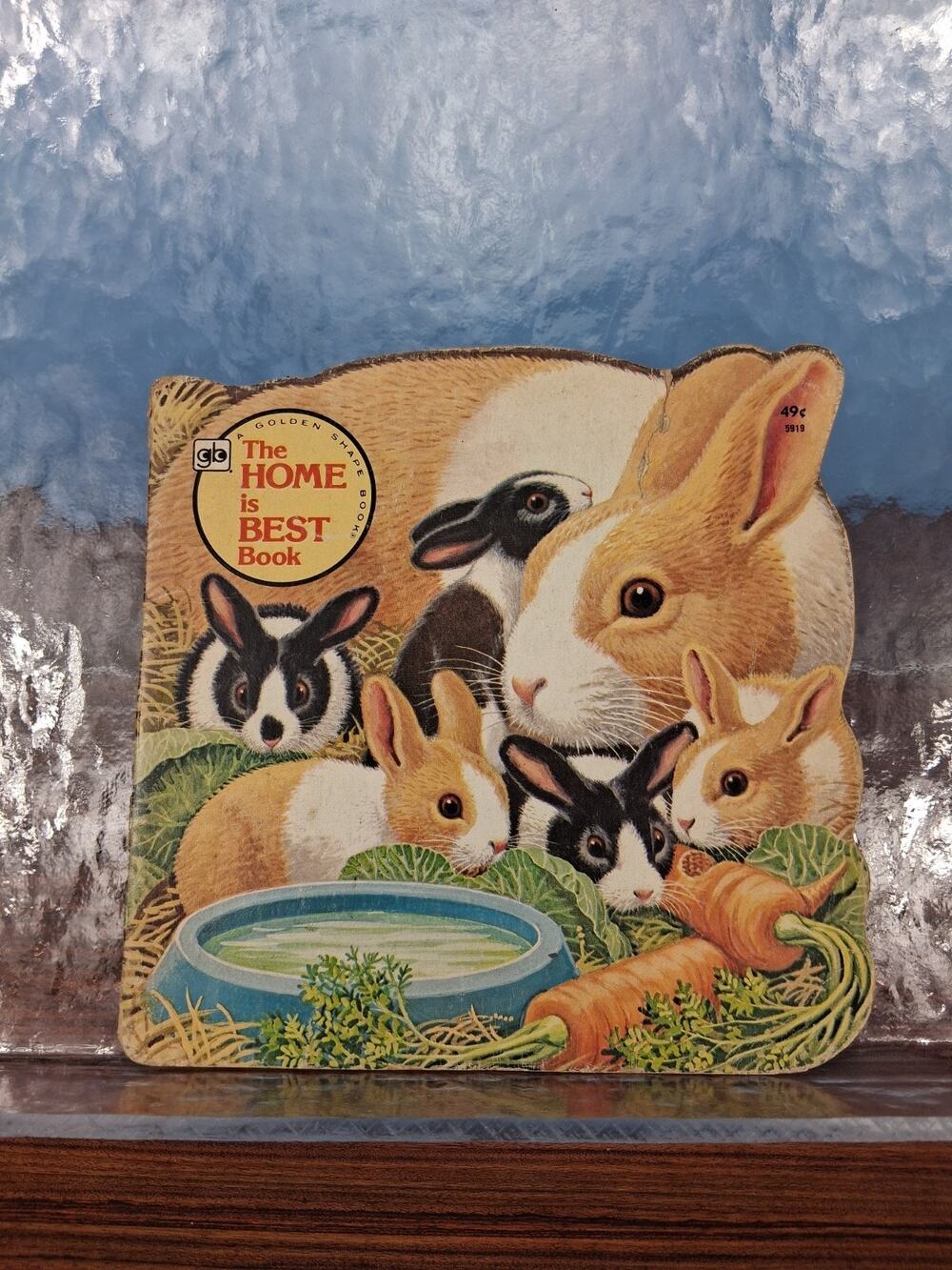 The Home is Best Book Golden Kids Book 1977 The Nest Book Colorful Fun Easy Read